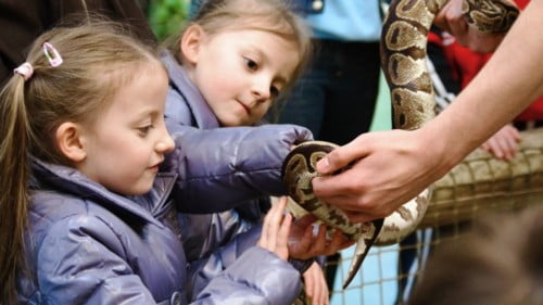 National Reptile Zoo Featured Photo